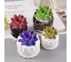 Epoksi Saksı Kalıbı Saksı Altlık Kristal Kesim Taş Tozu Kalıbı Silikon 7.9x5.5x5.1cm