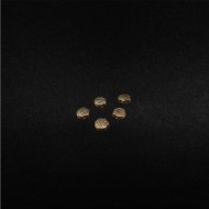 Takı Aparatı Deniz Kabuğu 5 Adet