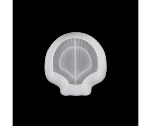 Epoksi Silikon Deniz Kabuğu Çerezlik Kalıbı