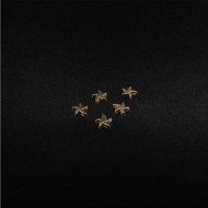 Takı Aparatı Deniz Yıldızı 5 Adet