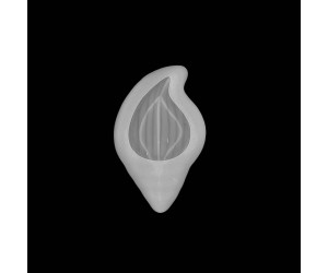 Epoksi Silikon Deniz Kabuğu Çerezlik Kalıbı