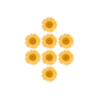 Kurutulmuş Papatya Turuncu 8 Adet