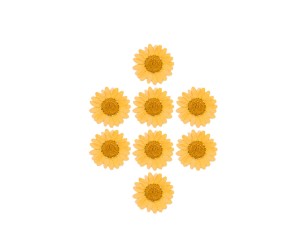 Kurutulmuş Papatya Turuncu 8 Adet