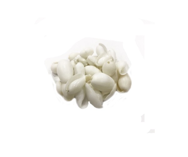 Epoksi Deniz Kabuğu Beyaz 20gr