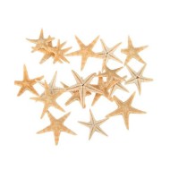 Epoksi Deniz Yıldızı 5 Adet 2.3cm