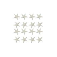 Epoksi Plastik Deniz Yıldızı Beyaz 16 Adet