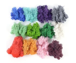 Epoksi Kurutulmuş Yosun Turuncu 5gr Epoksi Kurutulmuş Yosun Turuncu 5gr