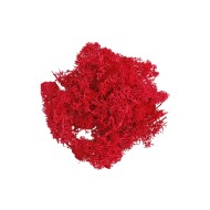 Epoksi Kurutulmuş Yosun Kırmızı 5gr