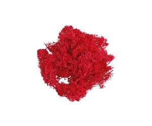 Epoksi Kurutulmuş Yosun Kırmızı 5gr