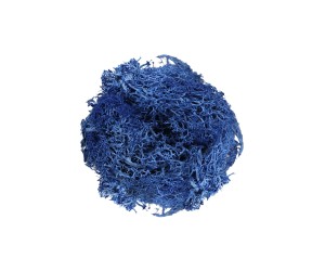 Epoksi Kurutulmuş Yosun Mavi 5gr