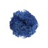 Epoksi Kurutulmuş Yosun Mavi 5gr