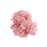 Epoksi Kurutulmuş Yosun Pembe 5gr