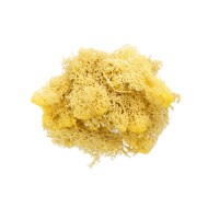 Epoksi Kurutulmuş Yosun Sarı 5gr