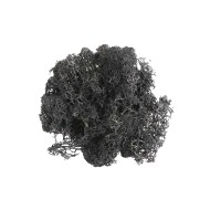 Epoksi Kurutulmuş Yosun Siyah 5gr