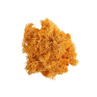 Epoksi Kurutulmuş Yosun Turuncu 5gr