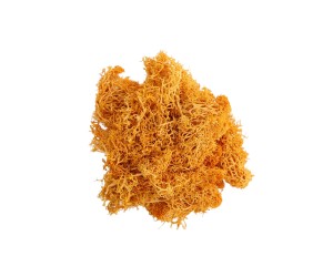 Epoksi Kurutulmuş Yosun Turuncu 5gr