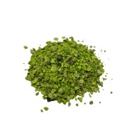 Epoksi Deniz Kabuğu Kırığı Yeşil 50gr