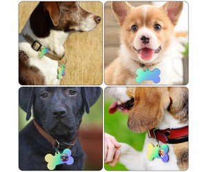 Epoksi Silikon Çoklu Kedi Köpek Tasma İsimlik Kalıbı Epoksi Silikon Çoklu Kedi Köpek Tasma İsimlik Kalıbı