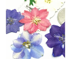 Epoksi Kurutulmuş Çiçek Açelya Pembe - 8 Adet