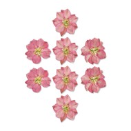 Epoksi Kurutulmuş Çiçek Açelya Pembe - 8 Adet