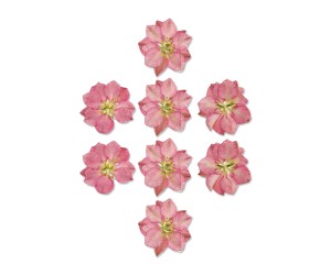 Epoksi Kurutulmuş Çiçek Açelya Pembe - 8 Adet