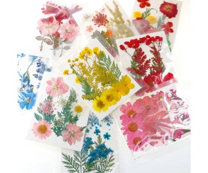 Epoksi Kurutulmuş Çiçek Karışık Süsleme Paket Model-35 Epoksi Kurutulmuş Çiçek Karışık Süsleme Paket Model-35