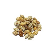 Epoksi Deniz Kabuğu Benekli - 25gr