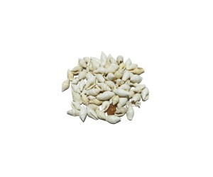 Epoksi Deniz Kabuğu Beyaz - 25gr